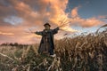 Scary scarecrow in a hat Royalty Free Stock Photo