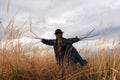 Scary scarecrow in a hat Royalty Free Stock Photo