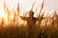 Scary scarecrow in a hat Royalty Free Stock Photo