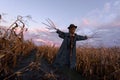 Scary scarecrow in a hat Royalty Free Stock Photo