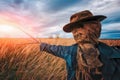 Scary scarecrow in a wheat field at sunset Royalty Free Stock Photo