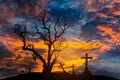 Scary silhouette dead tree and spooky crosses with halloween concept Royalty Free Stock Photo