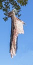 Scary skeleton - ghost in sky in front of leaves for Halloween