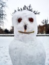 Scary Snowman with hair