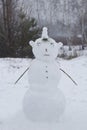 Scary snowman in the winter forest close up