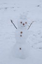 Scary snowman in the winter forest close up