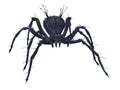 Scary Spider. Royalty Free Stock Photo