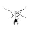 Scary spider web background. Cobweb background with spider. Halloween horror decoration. Spooky fear spiderweb. Simple Royalty Free Stock Photo