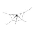 Scary spider web background. Cobweb background with spider. Halloween horror decoration. Spooky fear spiderweb. Simple Royalty Free Stock Photo