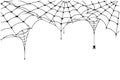 Scary spider web background. Cobweb background with spider. Spooky spider web for Halloween decoration Royalty Free Stock Photo