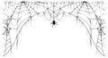 Scary spider web and poisonous spider top frame on white background symbol of halloween