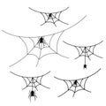 Scary spider web set isolated white background. Cobweb, black spider. Halloween horror decoration. Spooky fear spiderweb Royalty Free Stock Photo