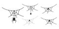 Scary spider web set isolated white background. Cobweb, black spider. Halloween horror decoration. Spooky fear spiderweb Royalty Free Stock Photo