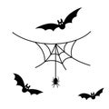 Scary spiderweb. Black cobweb, bat, hanging spider, isolated white background. Halloween horror decoration. Spooky fear Royalty Free Stock Photo