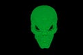 Scary Spooky Skull Bright Green