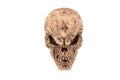 Scary Spooky Skull White Background