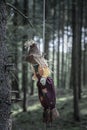 Scary toy hanged with a rope from a tree