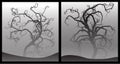 Scary trees Royalty Free Stock Photo