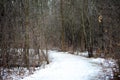 Scary winter woods trail creepy trees in Michigan Royalty Free Stock Photo