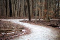 Scary winter woods trail creepy trees in Michigan Royalty Free Stock Photo