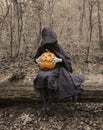 Scary witch on the log with pumpkin