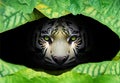 Scary yellow eyes of Bengal tiger in shodow of leaves, AI generated Royalty Free Stock Photo