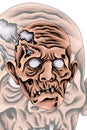 Scary zombie head vector illustration Royalty Free Stock Photo