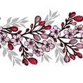 Scatch of spring sakura. Vector illustration.