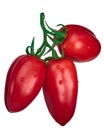Scatolone S. marzano tomato cluster