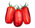 Scatolone S.Marzano tomatoes