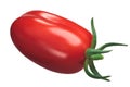 Scatolone tomato s. marzano, paths