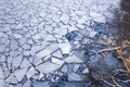 Scatter of crushed ice floes. Bare tree branches reaching out. Royalty Free Stock Photo