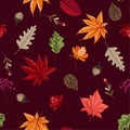 Scatter seamless pattern vector Autumn elememts ,leaves,flower,pine nut,in hand drawn style for fashion fabric and all prints Royalty Free Stock Photo