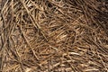 Scatter stalks straw dry straw texture background