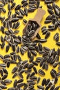 Scattered Black sunflower seeds and small wooden scoop. Harvest time agriculture farming. Healthy oils, food. Royalty Free Stock Photo