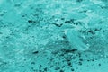 Scattered blue powder background. Abstract aqua menthe color background
