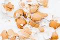 Scattered broken eggshells on a white background Royalty Free Stock Photo