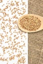 Scattered buckwheat grains. White background. Wooden spoon