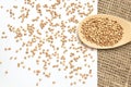 Scattered buckwheat grains. White background. Wooden spoon