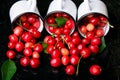 Scattered cherry from enamel cups. Cherries in iron cup on black background. Healthy, summer fruit. Cherries. Three. Close up. Royalty Free Stock Photo