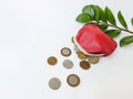 Scattered coins from a red leather purse on a metal lock against the background of green leaves and white background Royalty Free Stock Photo