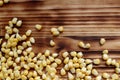 Fresh harvest of ripe, juicy, young corn scattered on the table Royalty Free Stock Photo