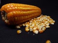 scattered corn kernels and grains