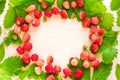 A scattered crop of wild strawberries. Red ripe berry on a light background. Diet Concept Food Light Banner, Royalty Free Stock Photo