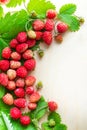 A scattered crop of wild strawberries. Red ripe berry on a light background. Diet Concept Food Royalty Free Stock Photo