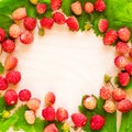 A scattered crop of wild strawberries. Red ripe berry on a light background. Diet Concept Food Light Banner, Royalty Free Stock Photo