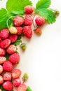 A scattered crop of wild strawberries. Red ripe berry on a light background. Diet Concept Food Light Banner. Royalty Free Stock Photo