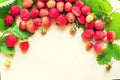 A scattered crop of wild strawberries. Red ripe berry on a light background. Diet Concept Food Light Banner Tinted Royalty Free Stock Photo