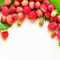 A scattered crop of wild strawberries. Red ripe berry on a light background. Diet Concept Food Royalty Free Stock Photo