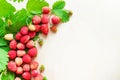 A scattered crop of wild strawberries. Red ripe berry on a light background. Diet Concept Food Royalty Free Stock Photo